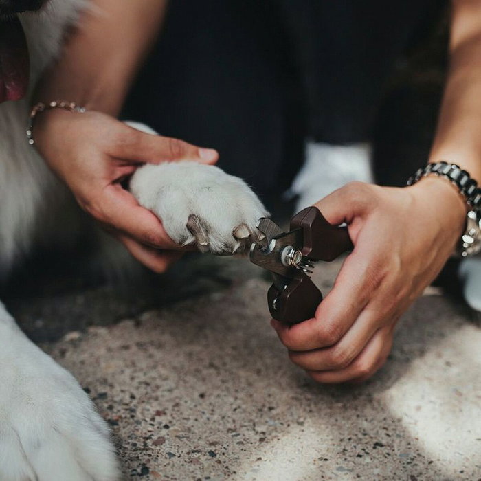 Cortauñas Hunter Talla L Cortauñas Hunter Talla L