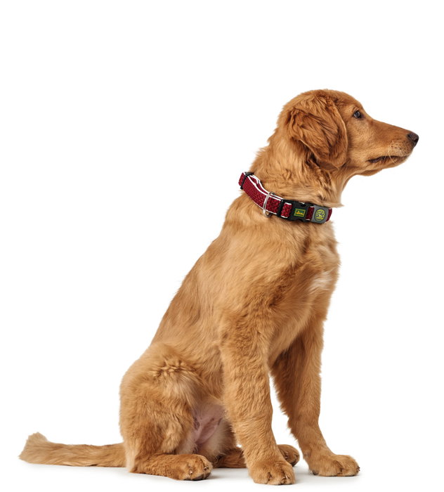 Hunter Collar Hilo Vario Plus XL para Perro Cuello 45-70 cm Rojo Transpirable y Refrescante