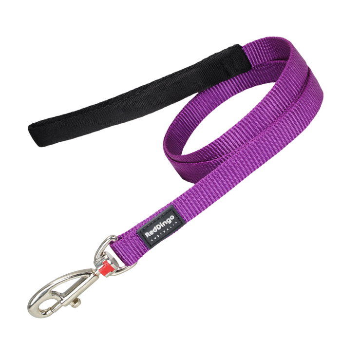 Red Dingo Set de 10 Correas Lisas Morado 20 mm x 1.2 m Red Dingo Set de 10 Correas Lisas Morado 20 mm x 1.2 m