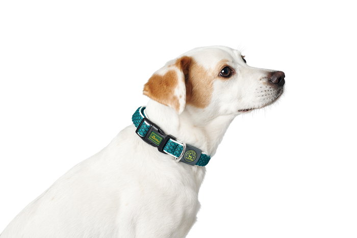 Hunter Collar Hilo Vario Basic M Naranja para Perro Cuello 33-50cm, Transpirable, Ligero y Refrescante con Material Reflectante para Seguridad