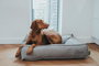 Hunter Cama Acolchada Lancaster 100x70 cm Gris