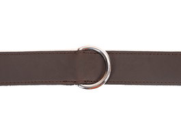 Gloria Collar 75 x 4 cm Cuero para Perros Razas Grandes Marrón