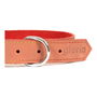 Gloria Oasis Collar para Perro 35 cm X 12 mm Rojo, Piel Nobuck Doble Capa Costura Reforzada