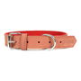 Gloria Oasis Collar para Perro 35 cm X 12 mm Rojo, Piel Nobuck Doble Capa Costura Reforzada