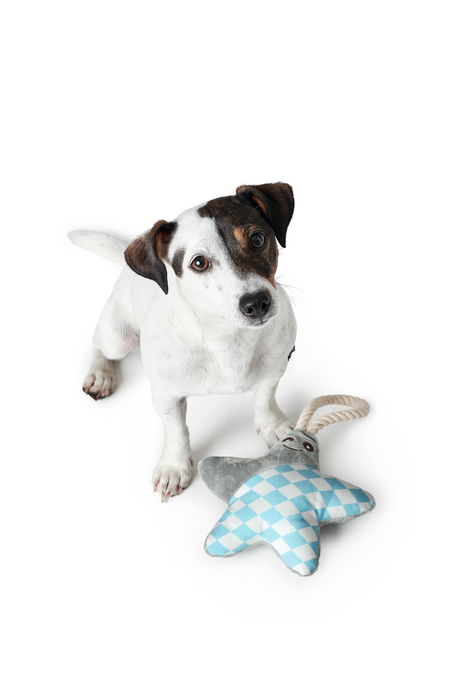 Juguete Para Perro Salima Star Gris