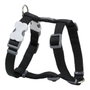 Red Dingo Petral Liso Rd Negro 25 mm (Set de 10)