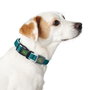 Hunter Collar Hilo Vario Basic S Marrón