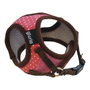 Gloria Petral para Perro Puntos Rosa XS