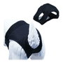 Gloria Slip T-2 (Set de 60)