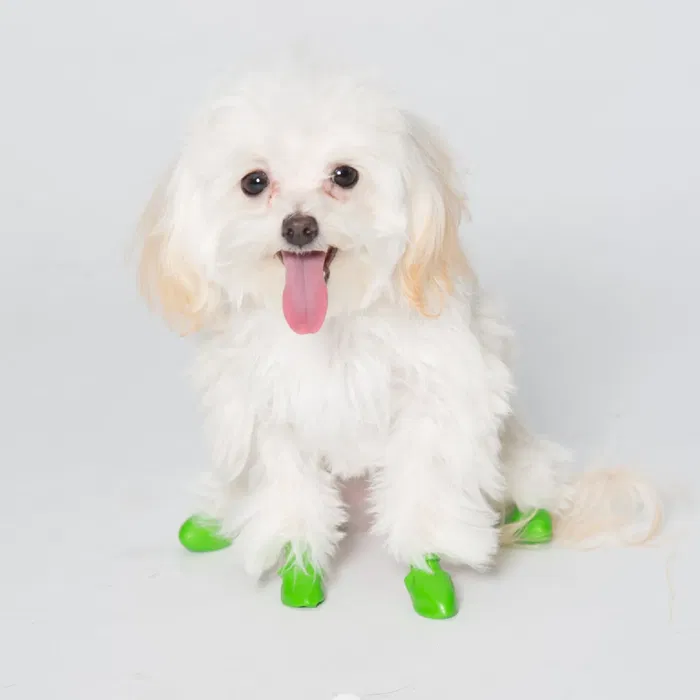 Pawz Botas Para Perro Verde Talla Tiny Impermeables Goma Natural Biodegradables Flexibles