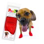 Pawz Botas Para Perro Rojo Talla S Paquete de 12 Botas