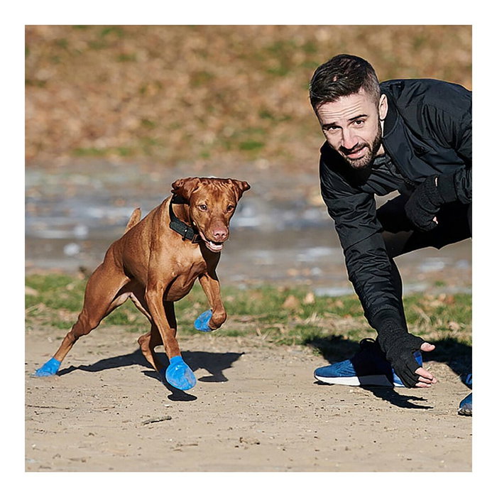 Pawz Botas Para Perro Verdes Talla XL - Paquete de 12 Unidades Pawz Botas Para Perro Verdes Talla XL - Paquete de 12 Unidades