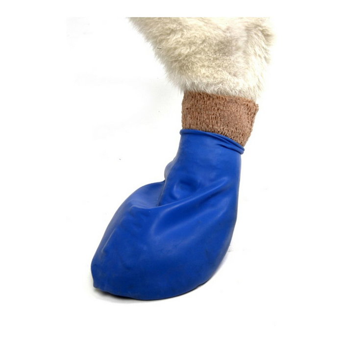 Pawz Botas Para Perro Verdes Talla XL - Paquete de 12 Unidades Pawz Botas Para Perro Verdes Talla XL - Paquete de 12 Unidades