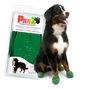 Pawz Botas Para Perro Verdes Talla XL - Paquete de 12 Unidades