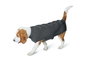 Hunter Dog Pullover Malmö, 30 cm Antracita