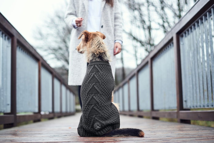 Hunter Dog Pullover Malmö, 35 cm Antracita Hunter Dog Pullover Malmö, 35 cm Antracita