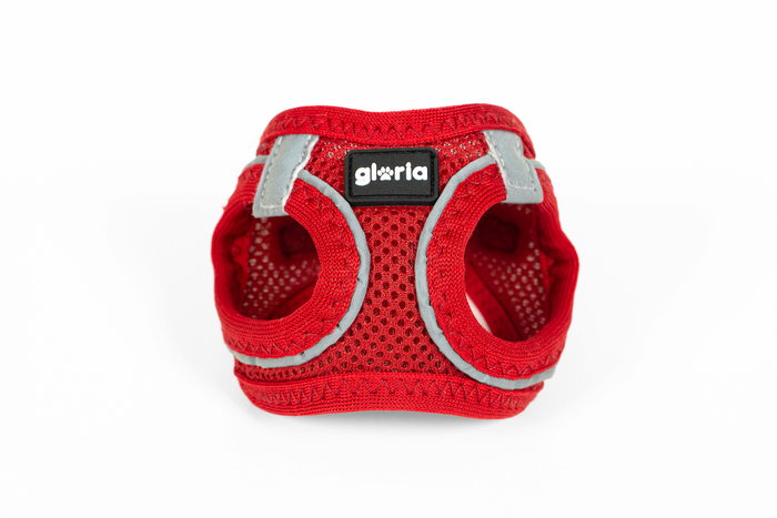 Gloria Arnés-Vestido Air Mesh Trek Star Rojo XXXS (Set de 50)