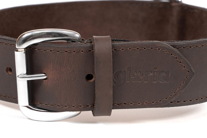Gloria Collar Liso 70 x 4 cm Cuero para Perros Razas Grandes