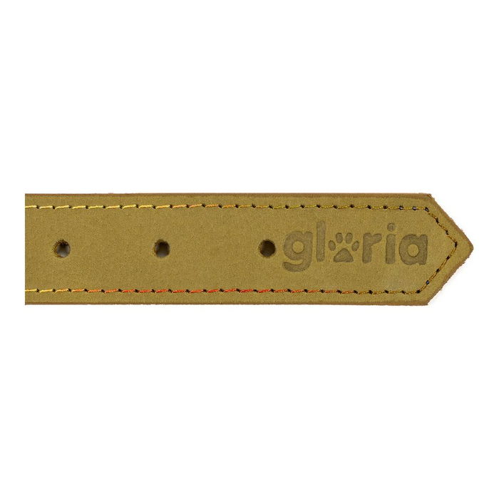 Collar para Perro Gloria Oasis Verde (40 x 1,5 cm)