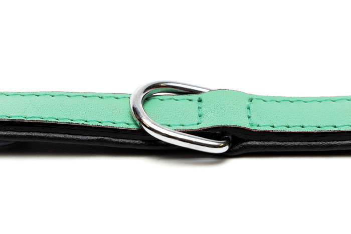Gloria Collar Piel Acolchado 35 cm X 15 mm Verde