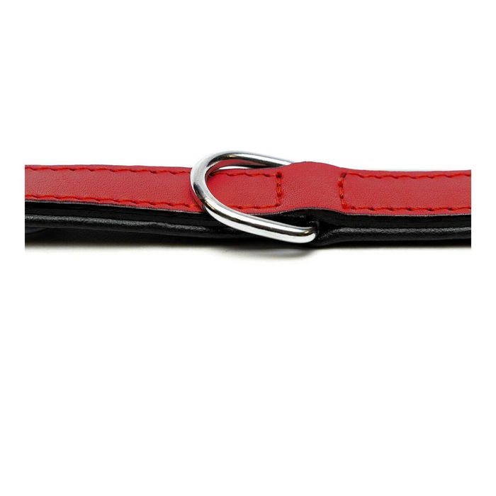Collar para Perro Gloria Acolchado Rojo 55 cm (55 x 2,5 cm)