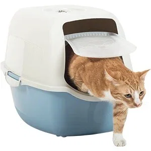 Rotho Mypet Casa de Baño Azul y Blanco