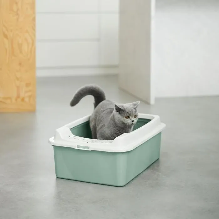 Rotho Mypet ROT7610859232847 Caja de Arena con Bordes Bonnie 57,2 x 39,3 x 20,9 cm Verde