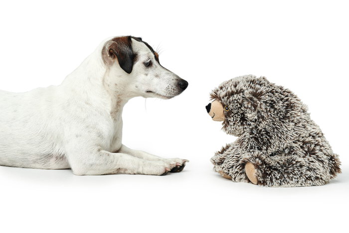 Peluche para perros Hunter Faro Marrón Gris Poliéster Oso Peluche para perros Hunter Faro Marrón Gris Poliéster Oso