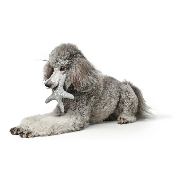 Peluche para perros Hunter Skagen Gris Azul oscuro Poliéster Estrella