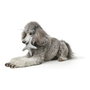 Peluche para perros Hunter Skagen Gris Azul oscuro Poliéster Estrella