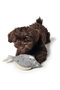 Hunter Juguete Para Perro Skagen Pez M Peluche 100% Material Reciclado