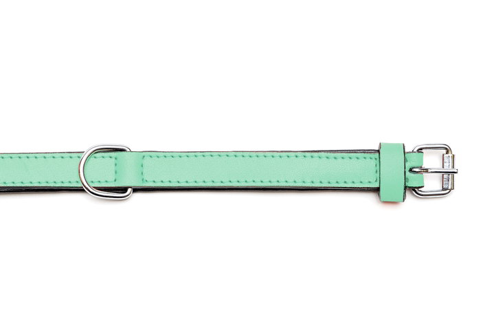 Gloria Collar Piel Acolchado Verde 30 cm X 15 mm
