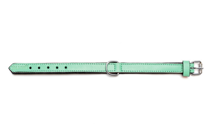 Gloria Collar Piel Acolchado Verde 30 cm X 15 mm