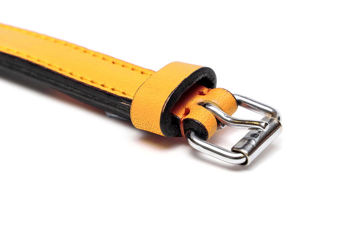 Gloria Collar Piel Acolchado Amarillo 45 cm X 20 mm Máxima Comodidad para tu Mascota Gloria Collar Piel Acolchado Amarillo 45 cm X 20 mm Máxima Comodidad para tu Mascota