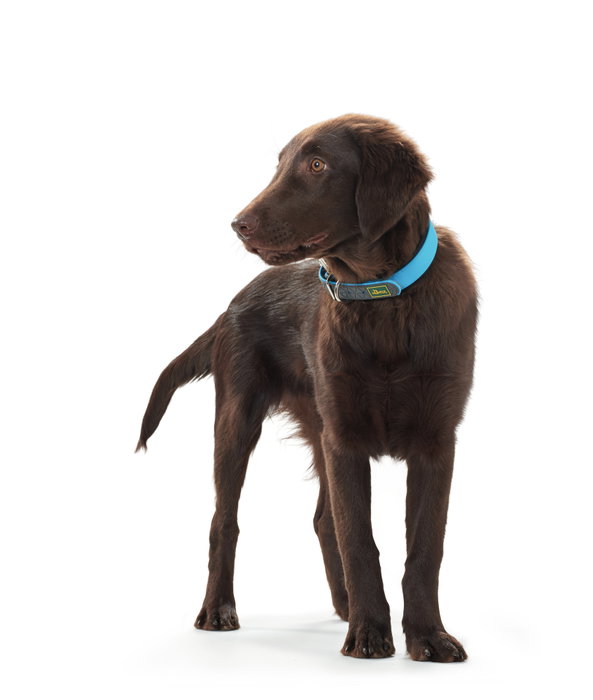 Hunter Collar Convenience Cuello 28-36 cm S Turquesa