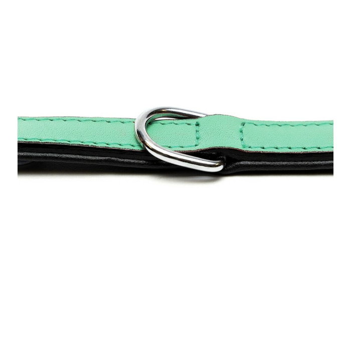 Gloria Collar Piel Acolchado Verde 40cm x 20mm