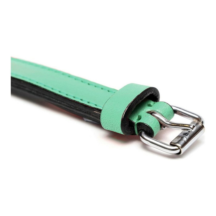 Gloria Collar Piel Acolchado Verde 40cm x 20mm