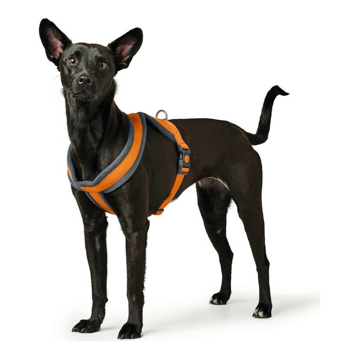 Hunter Arnés London Comfort Naranja S-M (Pecho 52-62cm)​