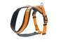 Hunter Arnés London Comfort Pecho 57-70 cm M Naranja Poliéster Suave y Resistente