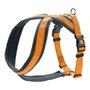 Hunter Arnés London Comfort Naranja L (Pecho 68-91cm)
