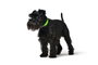 Hunter Collar Convenience 40/S Verde Manzana Cuello 28-36 cm Plástico
