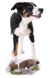 Hunter Juguete para Perro Wildlife Train Pato 26 cm de Poliéster con Chirriador