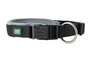 Hunter Collar Neopren Vario Plus Negro para Perro con Acolchado de Neopreno y Nylon Resistente, 45-50 cm Largo, 20 mm Ancho