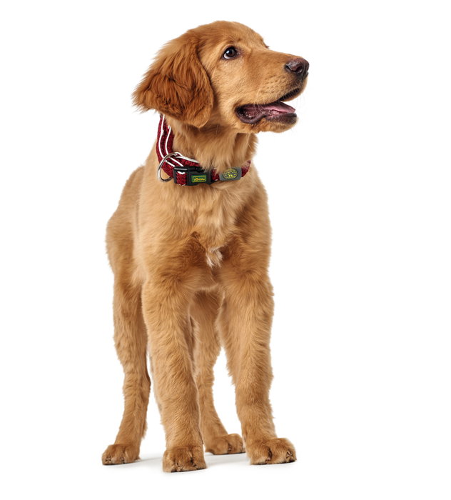 Hunter Collar Hilo Vario Plus L Cuello 40-60 cm Rojo Transpirable y Ligero con Efecto Refrescante