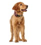 Hunter Collar Hilo Vario Plus L Cuello 40-60 cm Rojo Transpirable y Ligero con Efecto Refrescante