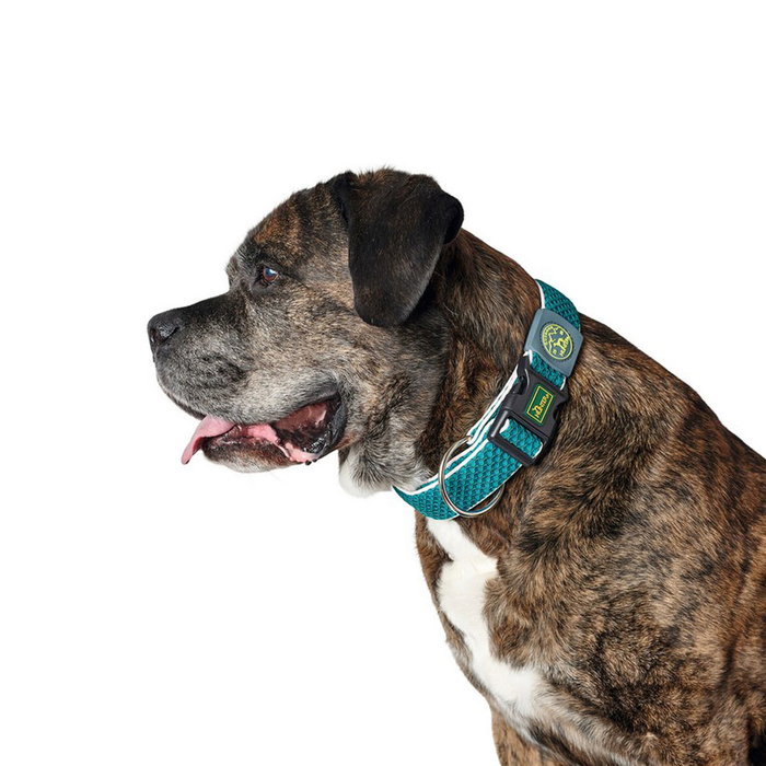 Hunter Collar Hilo Vario Plus XL Turquesa Hunter Collar Hilo Vario Plus XL Turquesa