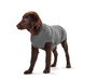 Hunter Perro Pullover Malmö Jersey Tejido 30 cm Gris