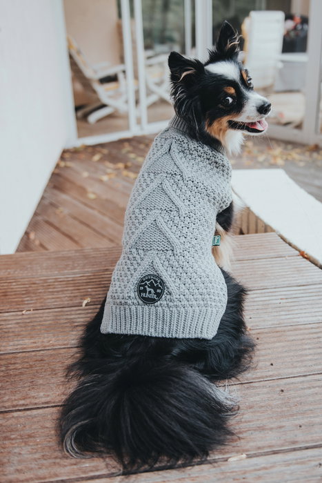 Hunter Perro Pullover Malmö Jersey Tejido 30 cm Gris