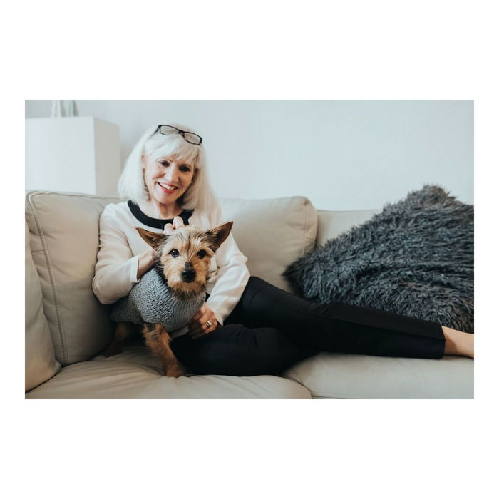 Jersey para Perro Hunter Malmö Jersey para Perro Hunter Malmö