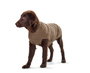 Hunter Dog Pullover Malmö, 35 cm Beige